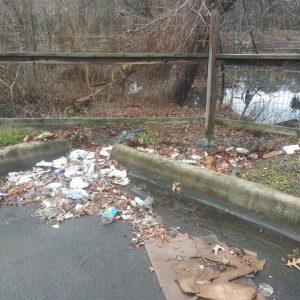 Beaver Marsh trash trap prototype